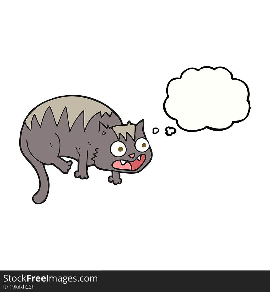 Thought Bubble Cartoon Cat