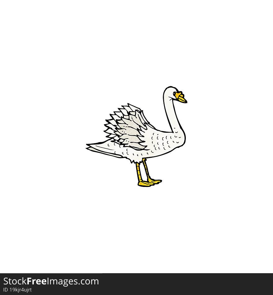 swan illustration