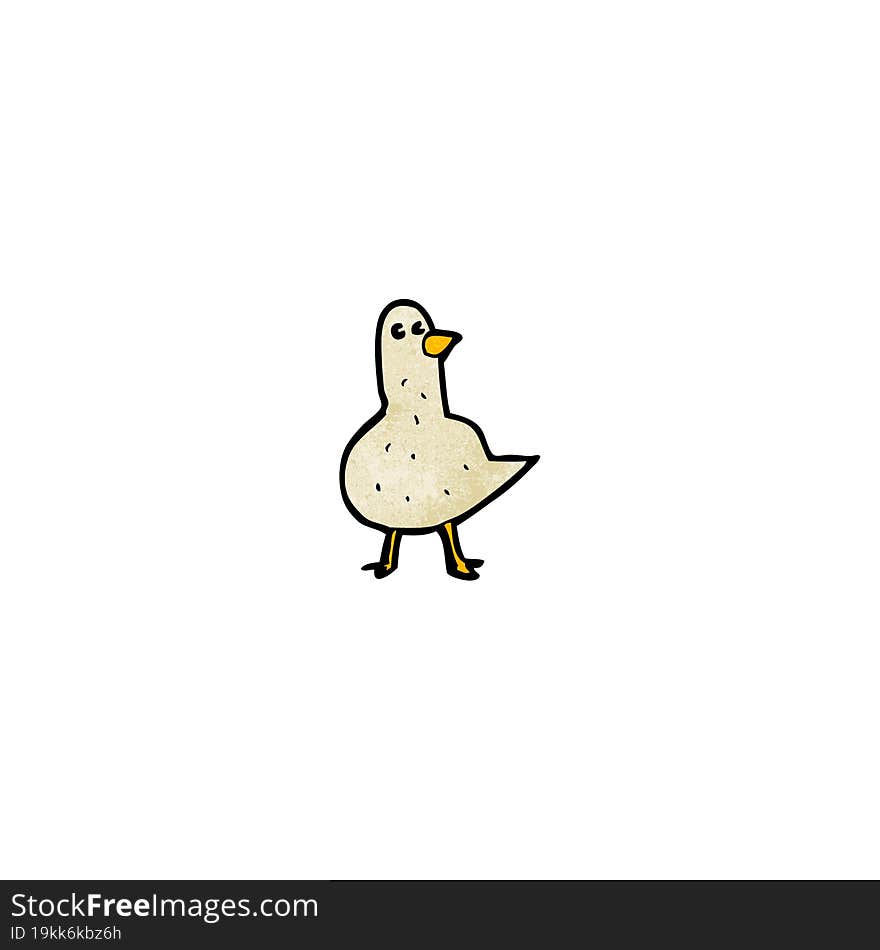 cartoon pigeon