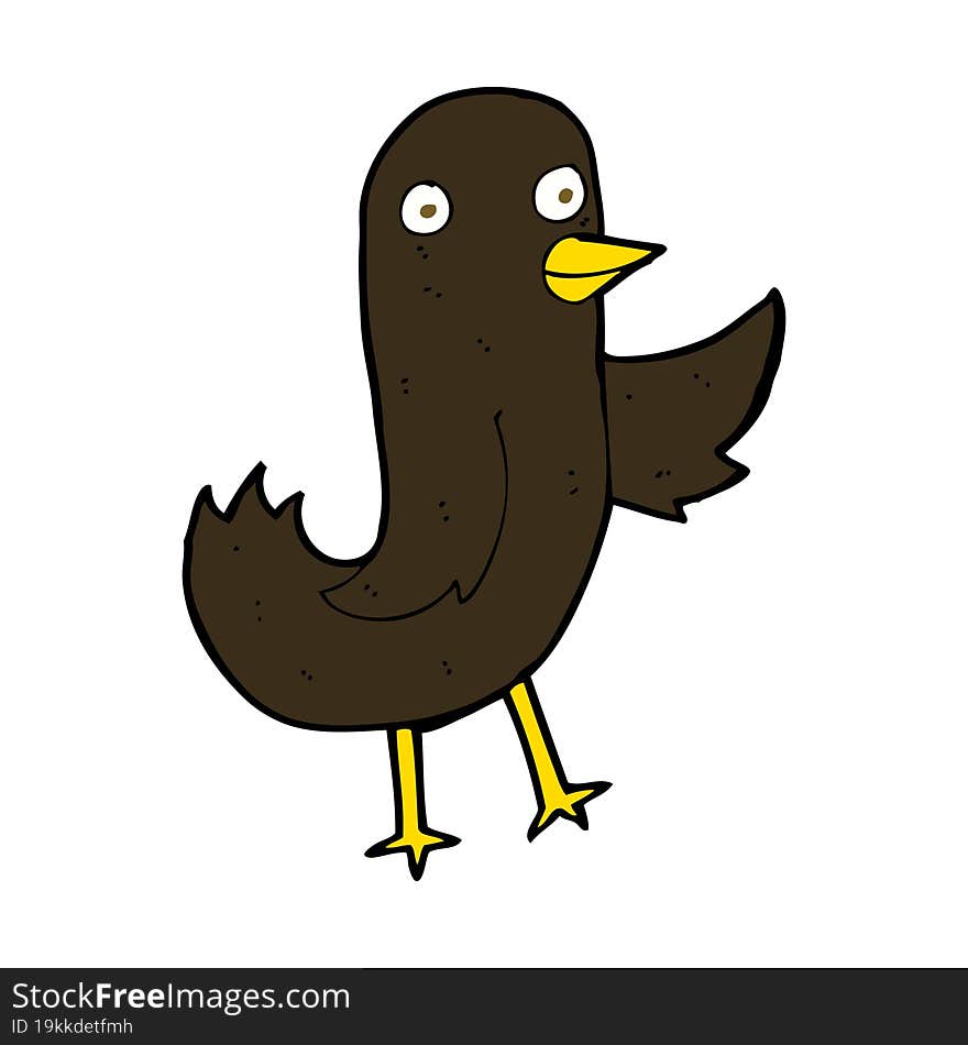 Funny Cartoon Bird