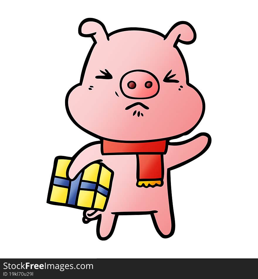 cartoon angry pig with christmas present. cartoon angry pig with christmas present