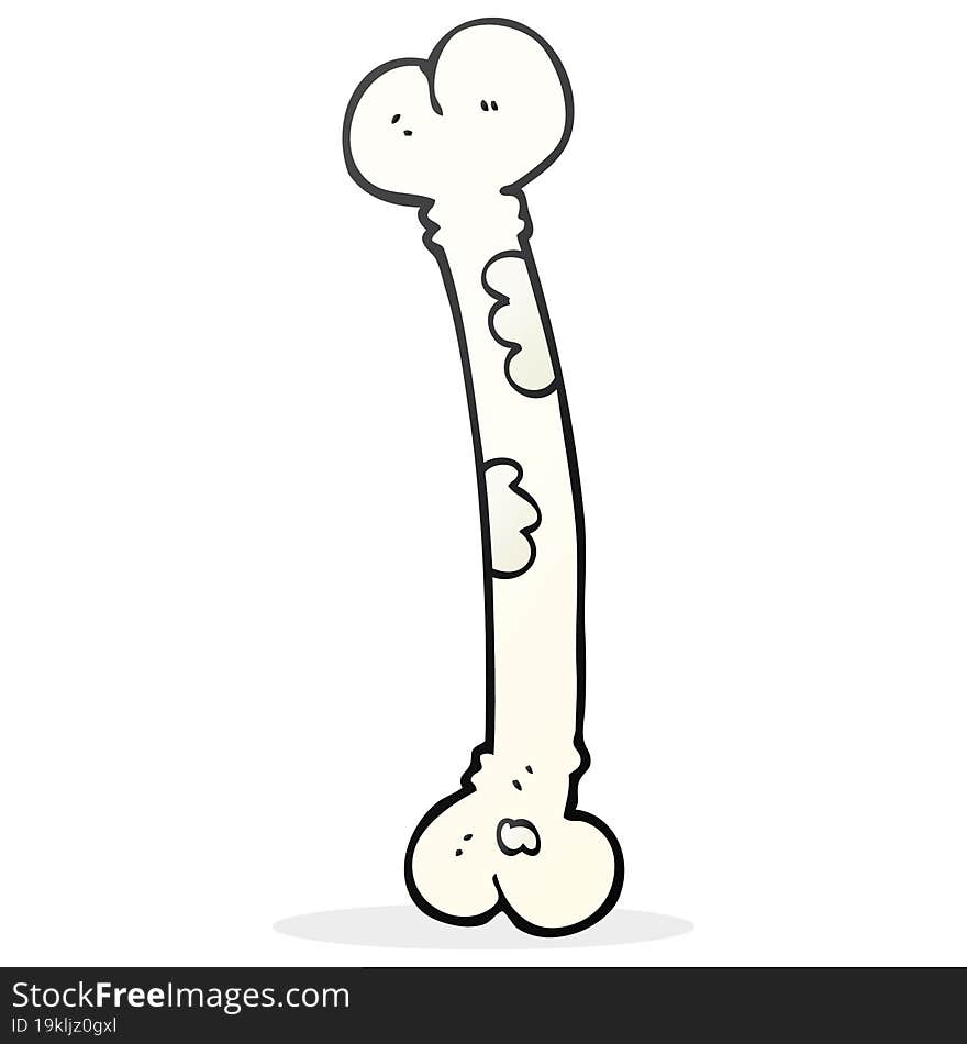 freehand drawn cartoon bone