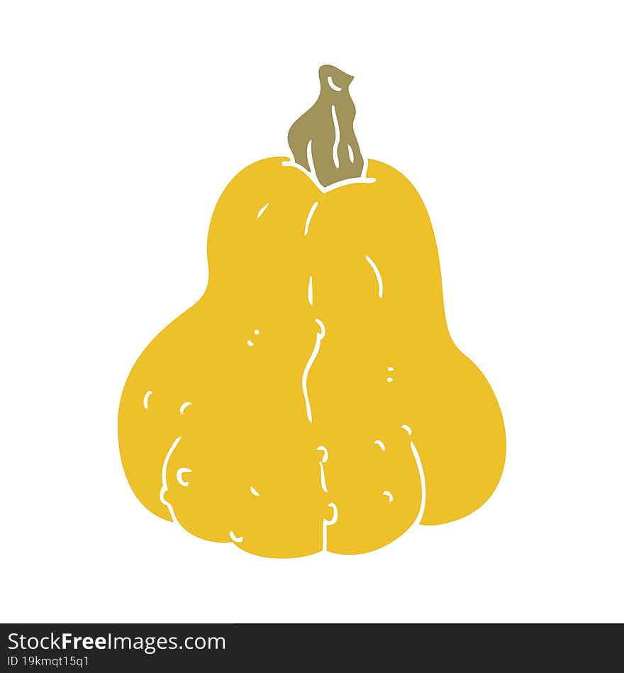 flat color style cartoon squash