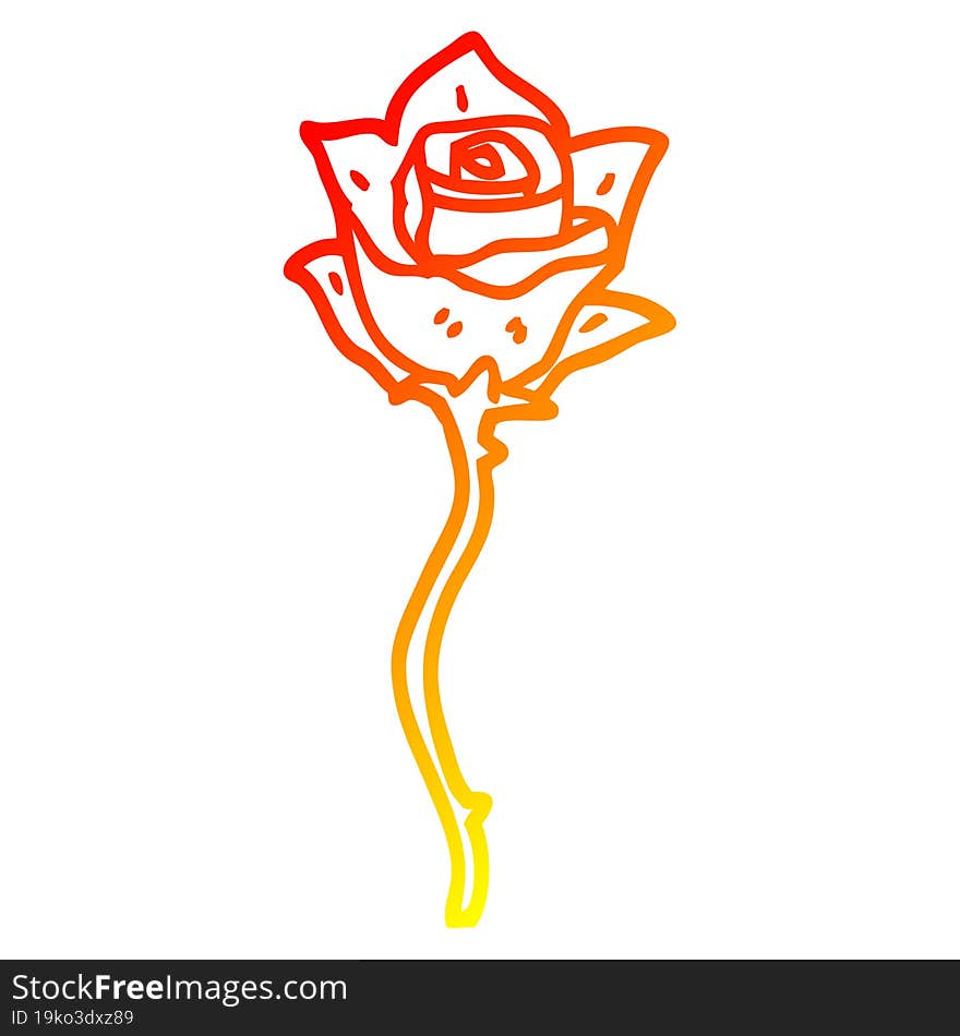 warm gradient line drawing cartoon white rose