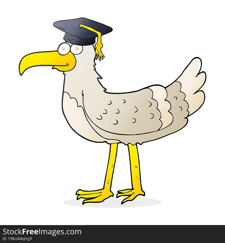 Cartoon Seagull With Graduate Cap