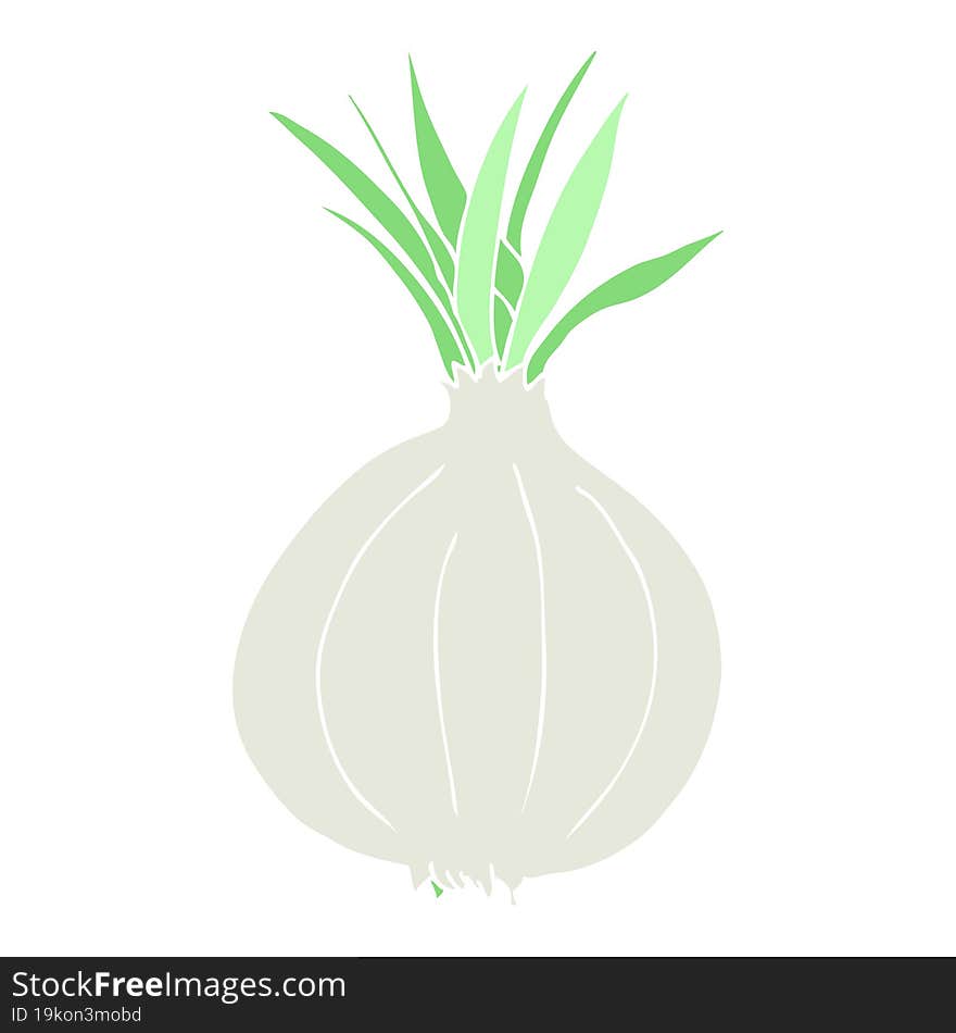 flat color illustration of onion. flat color illustration of onion