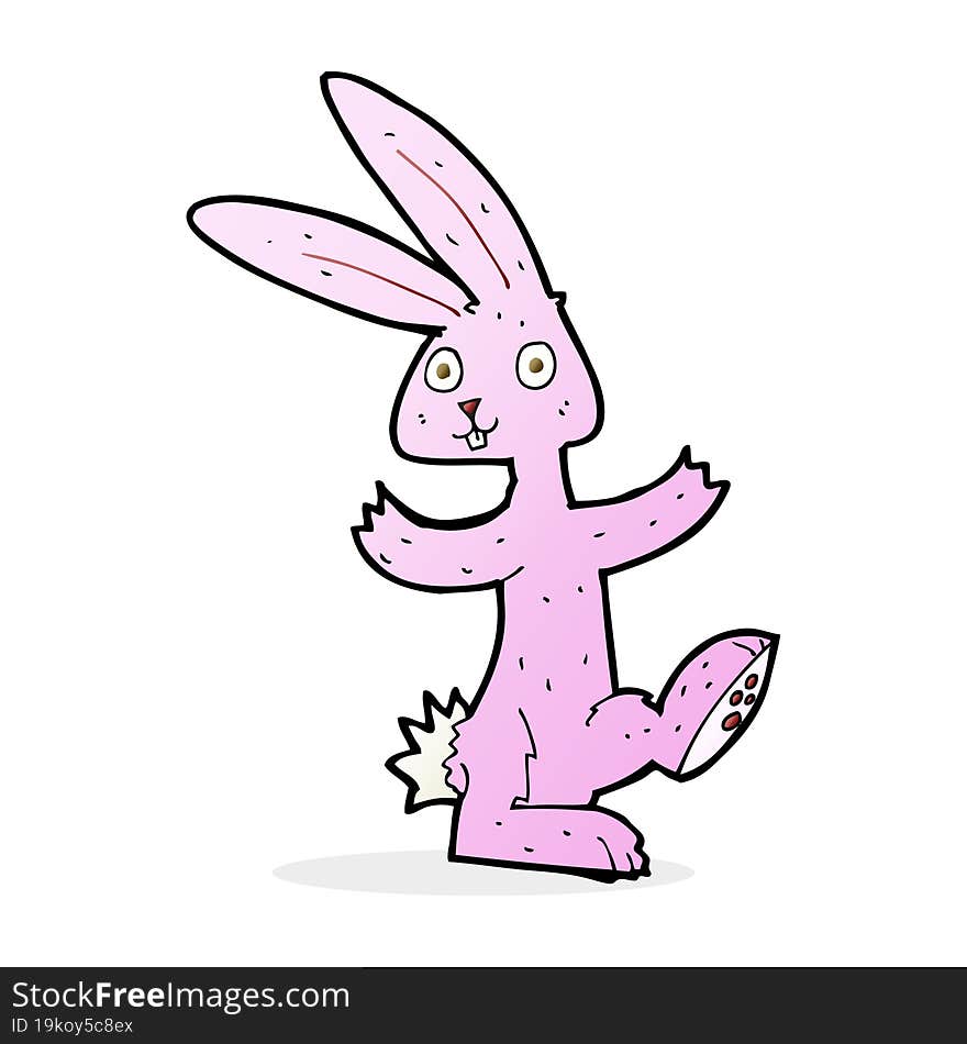 cartoon rabbit