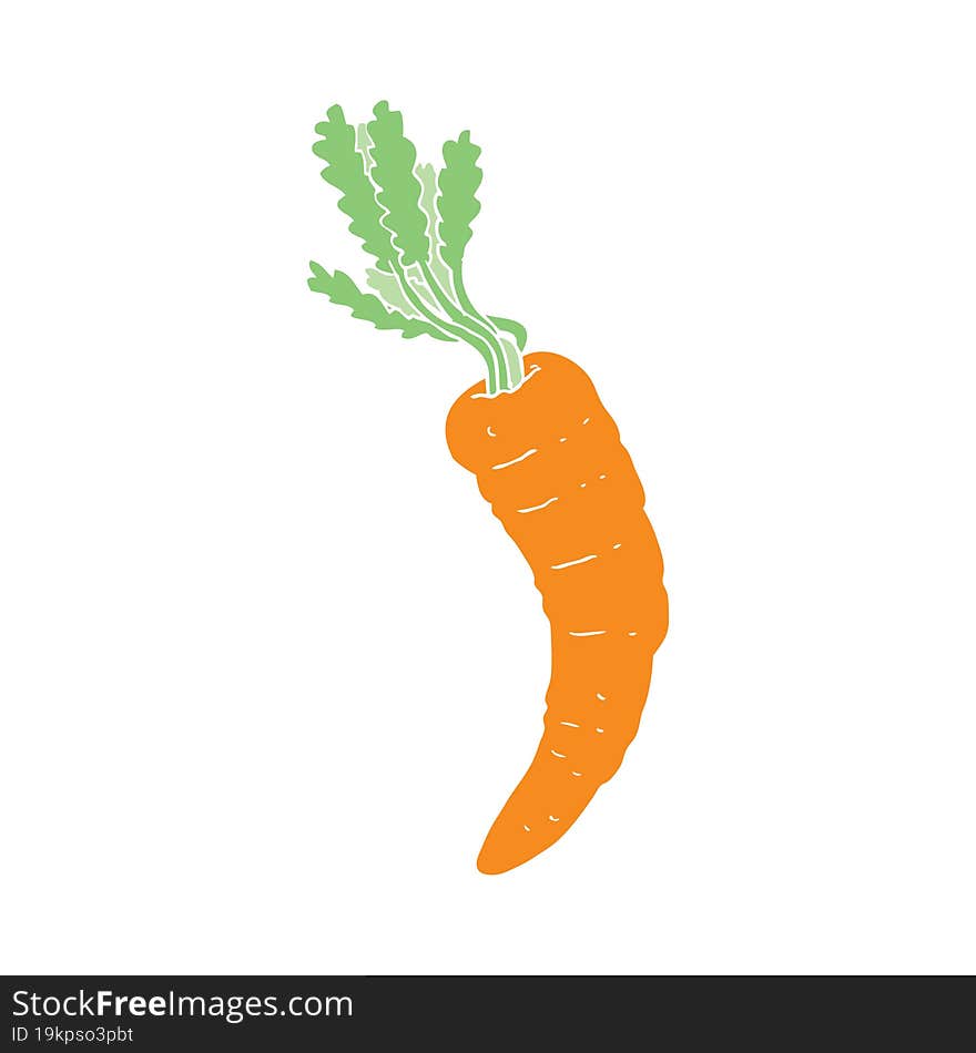 flat color illustration of carrot. flat color illustration of carrot