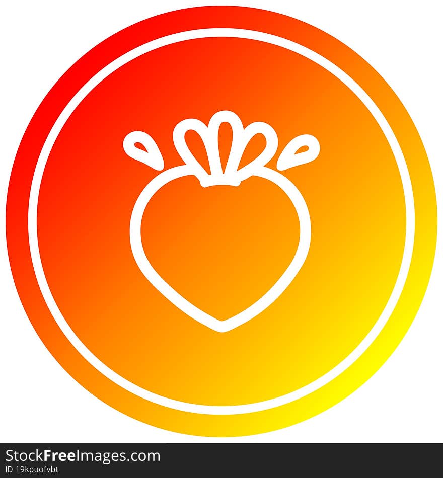 fresh fruit circular in hot gradient spectrum