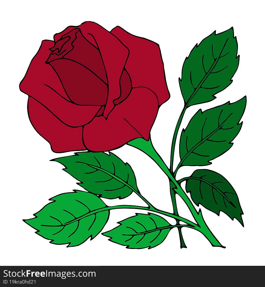 Drawing Red Rose Close-up, Design, Color Graphics, Illustration