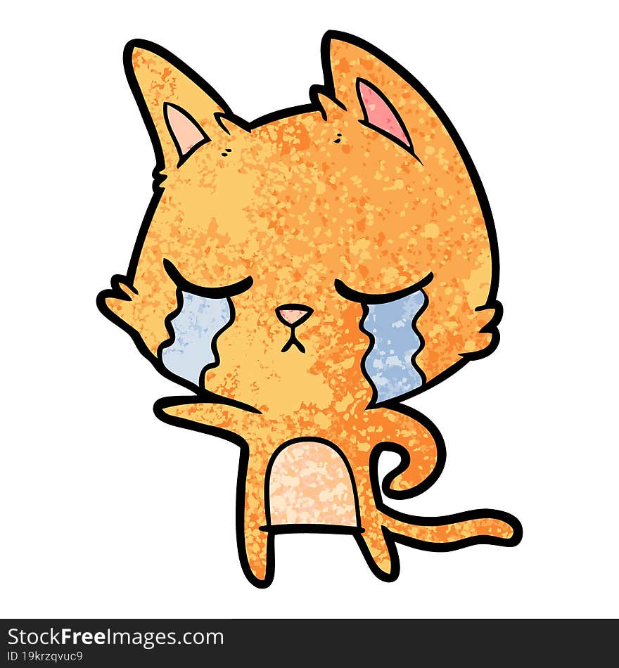 crying cartoon cat pointing. crying cartoon cat pointing