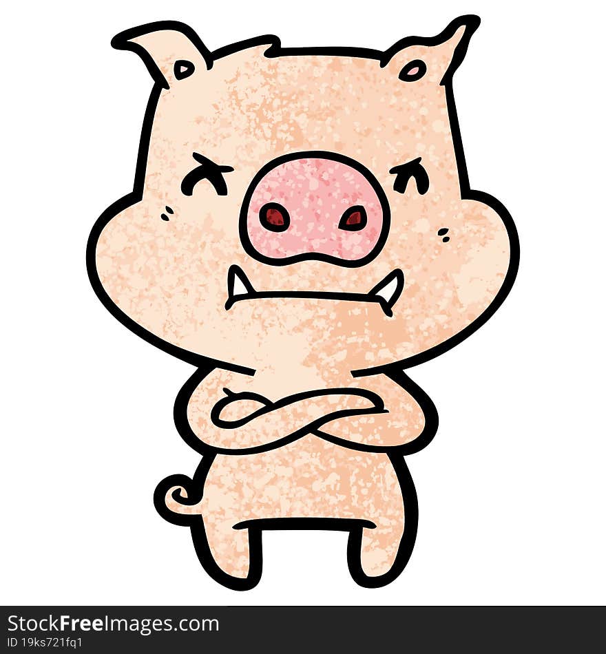 angry cartoon pig. angry cartoon pig