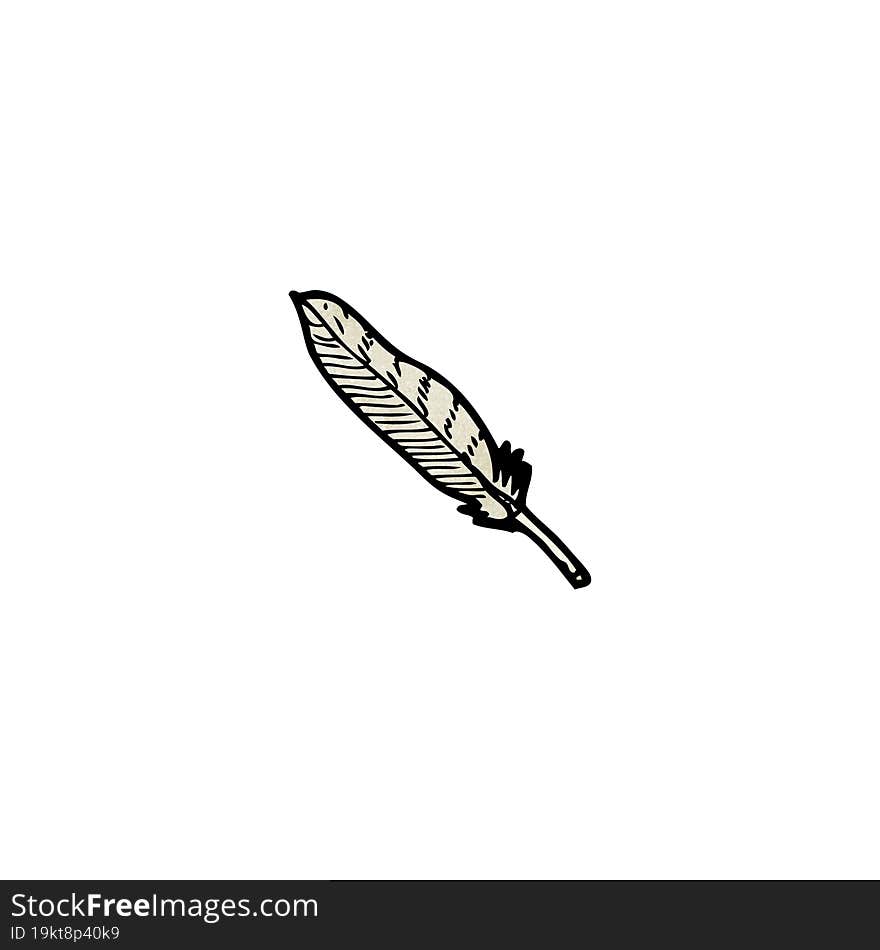 feather illustration