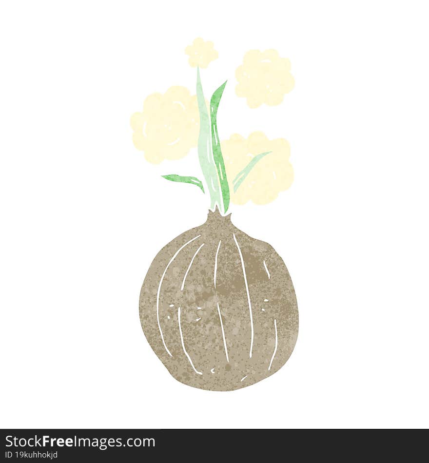 Cartoon Onion