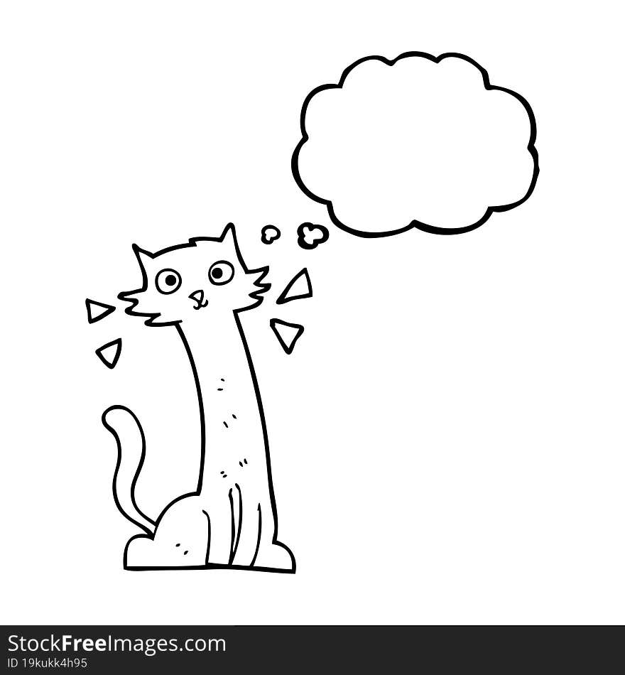 Thought Bubble Cartoon Cat