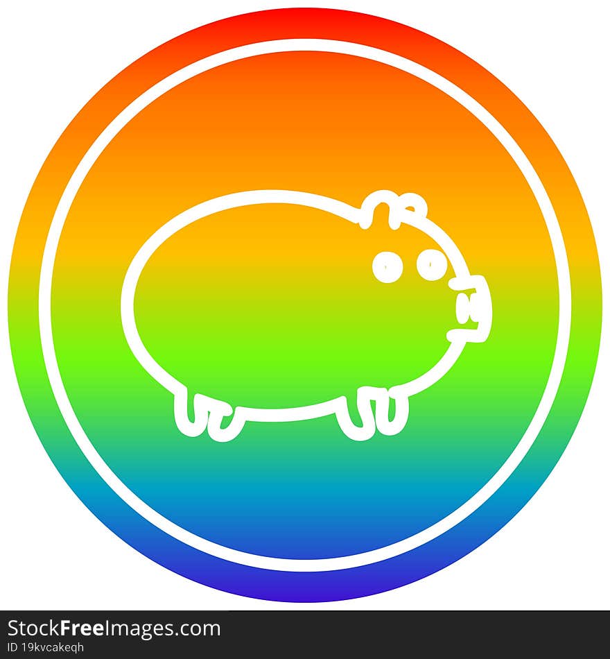 fat pig circular in rainbow spectrum