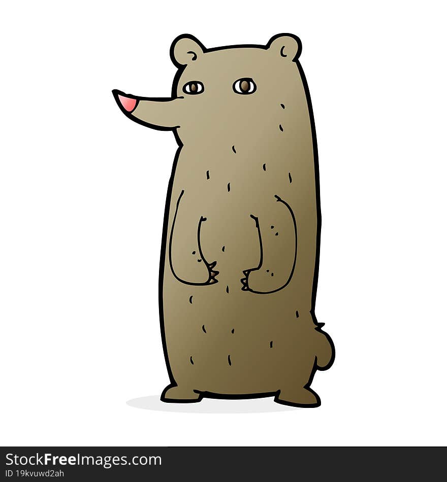 Funny Cartoon Bear