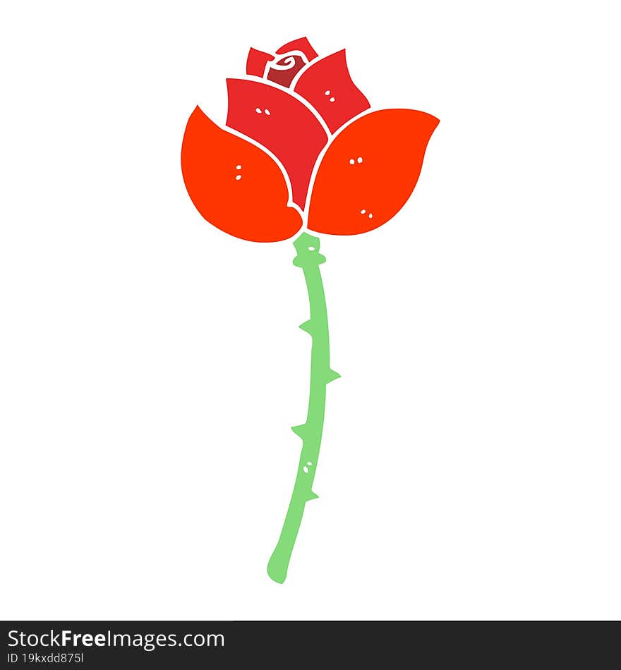 flat color illustration of rose. flat color illustration of rose