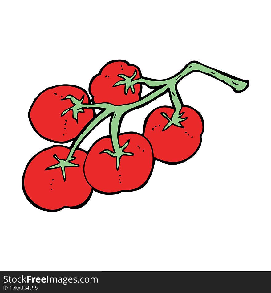 Tomatoes On Vine Illustration