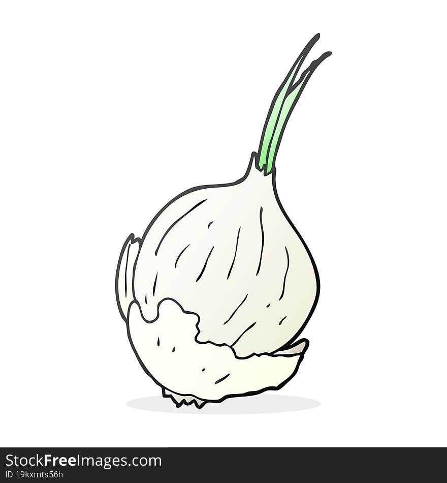 cartoon garlic