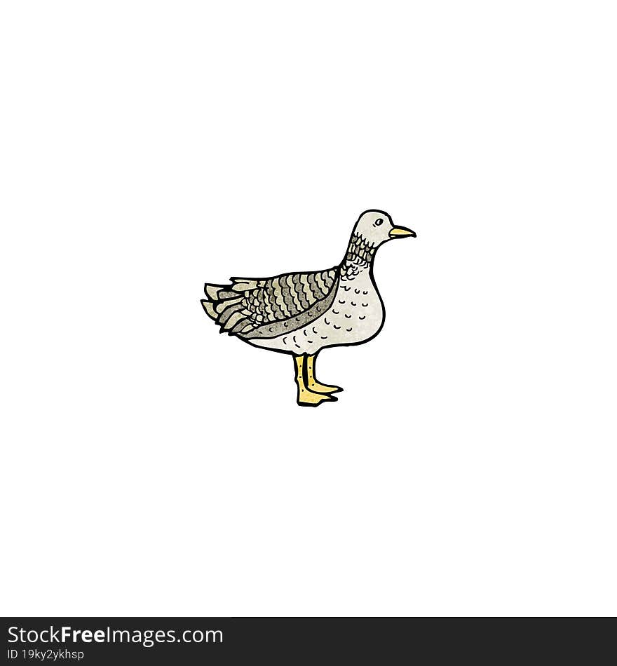 cartoon duck