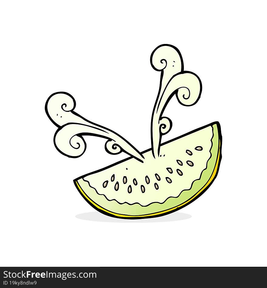 cartoon melon slice