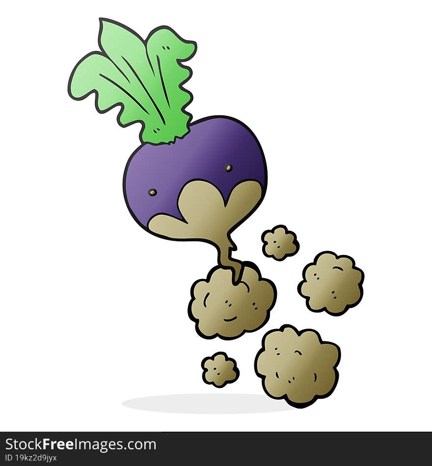 cartoon beet