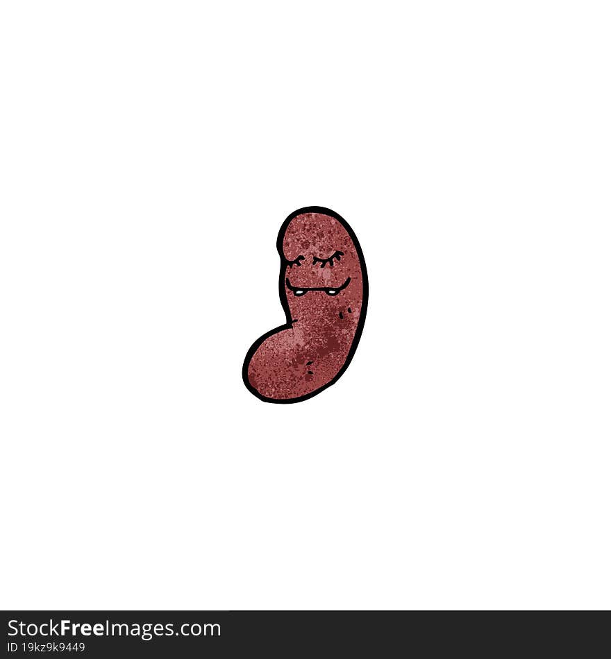 cartoon kidney