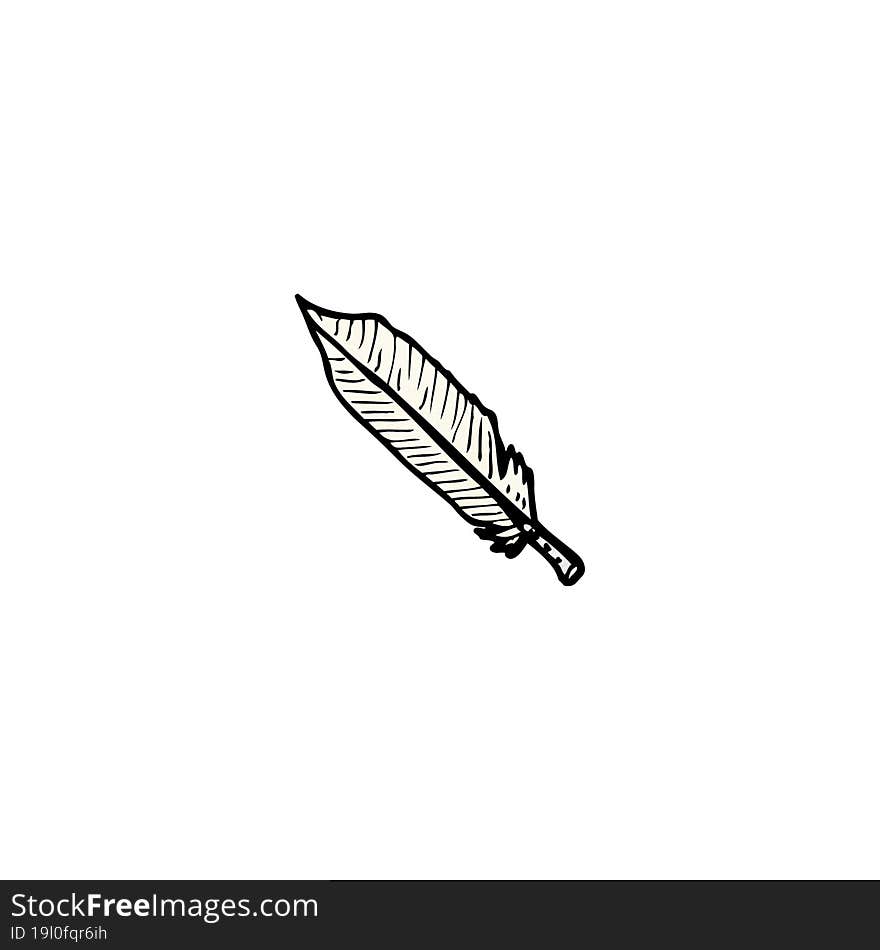 Feather Illustration