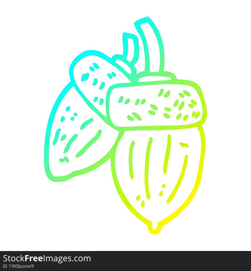 cold gradient line drawing cartoon acorn