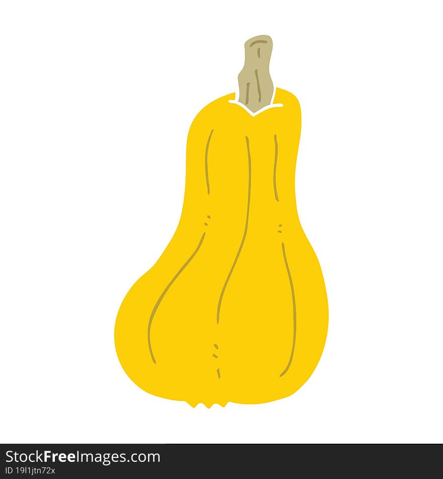 Flat Color Style Cartoon Squash