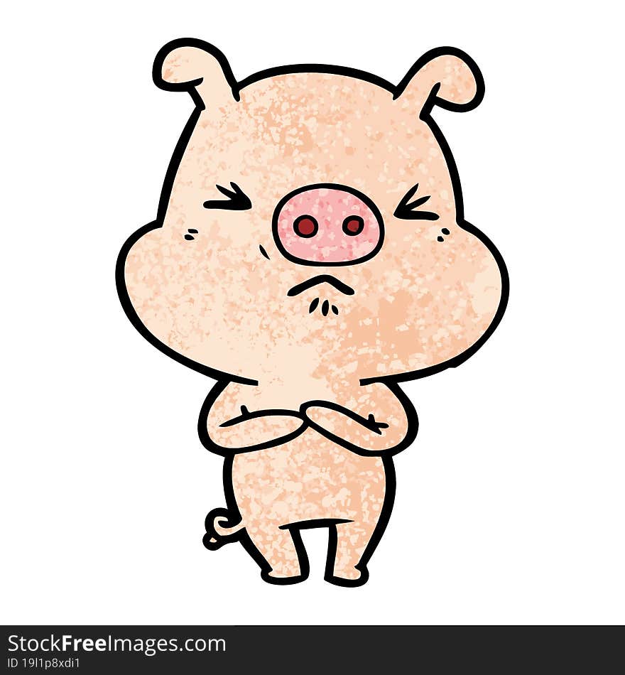 cartoon angry pig. cartoon angry pig