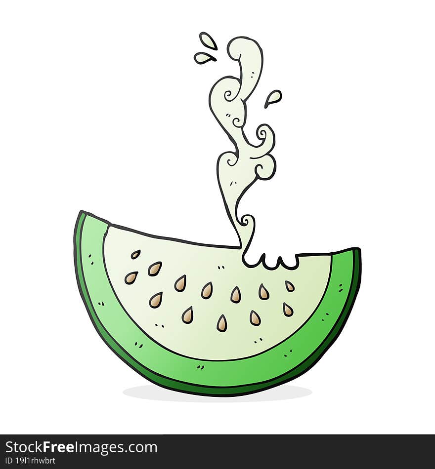 cartoon melon slice