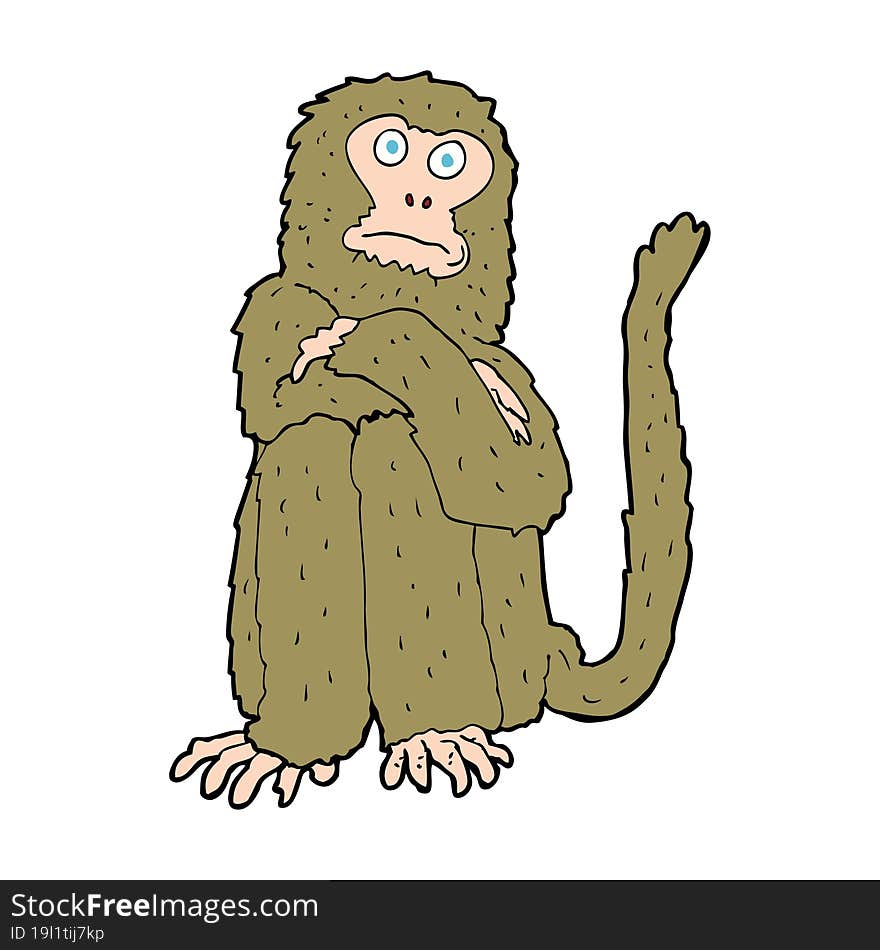 Cartoon Monkey