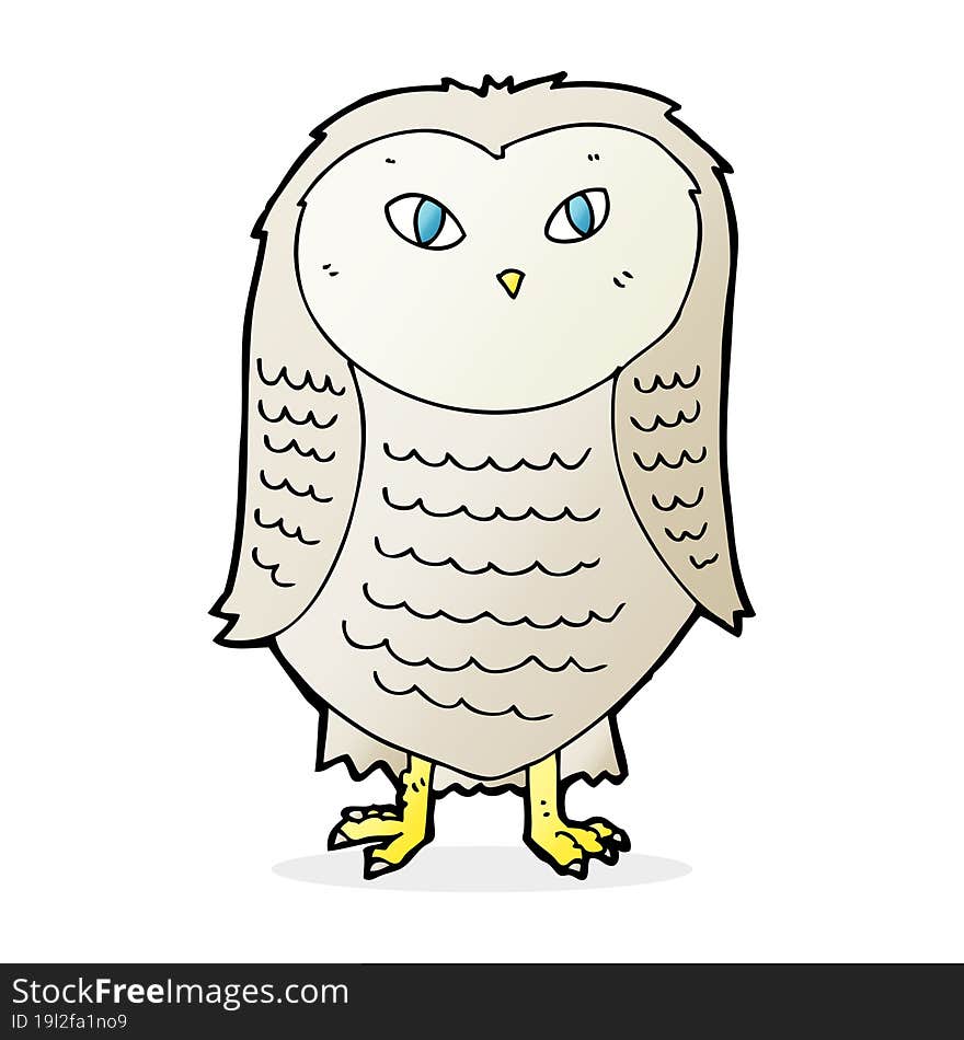 cartoon owl