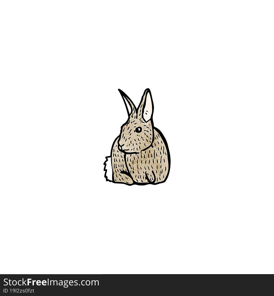 rabbit illustration