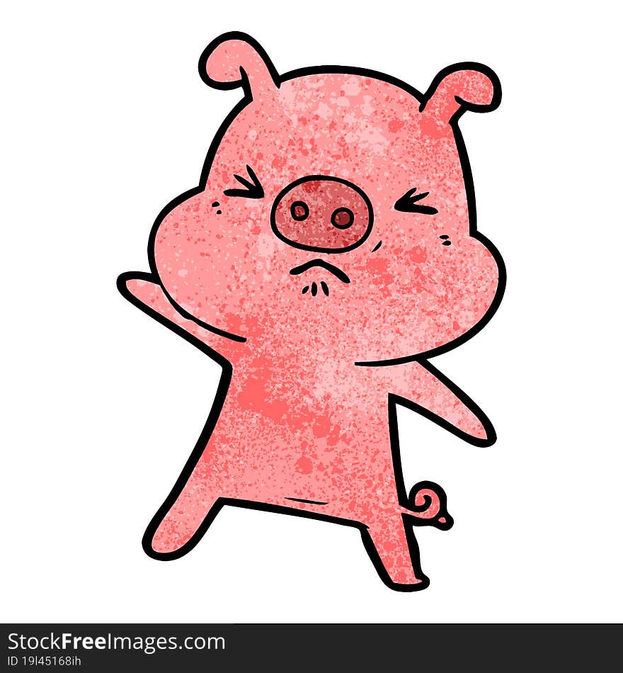 cartoon angry pig. cartoon angry pig