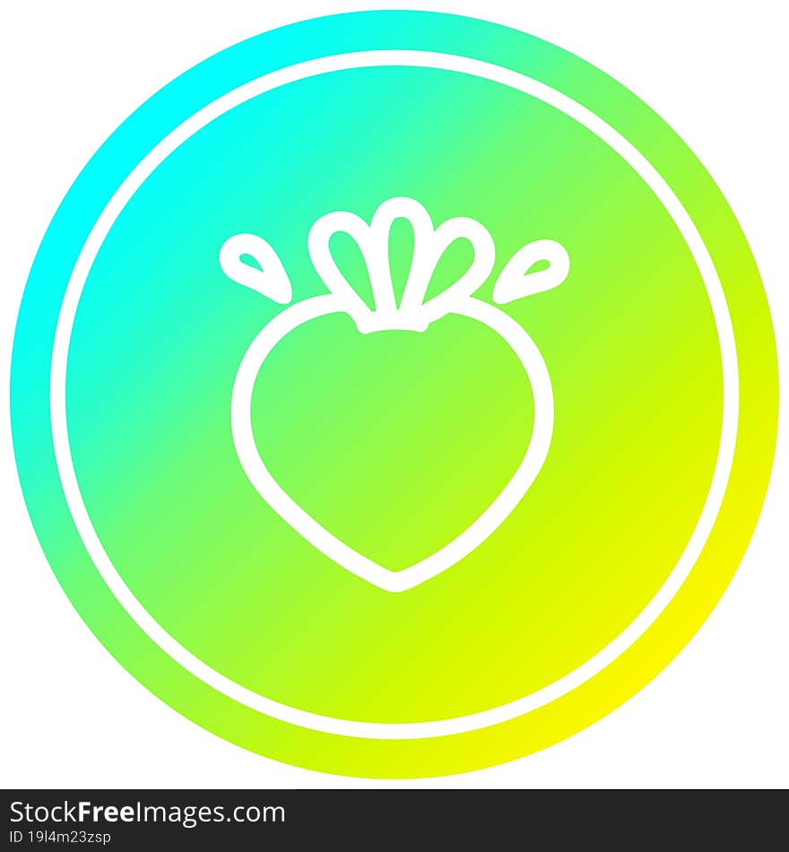 fresh fruit circular in cold gradient spectrum