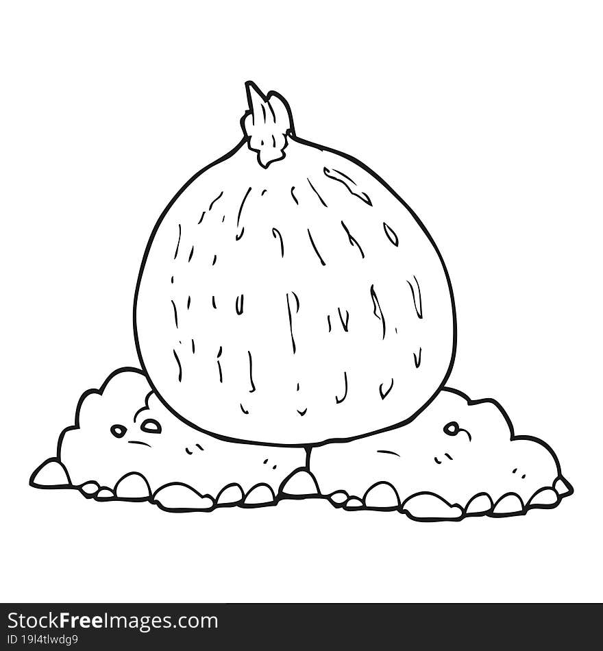 black and white cartoon squash