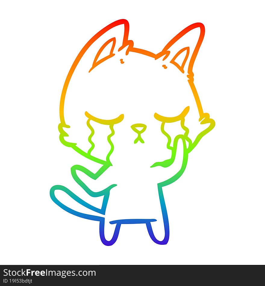 rainbow gradient line drawing crying cartoon cat