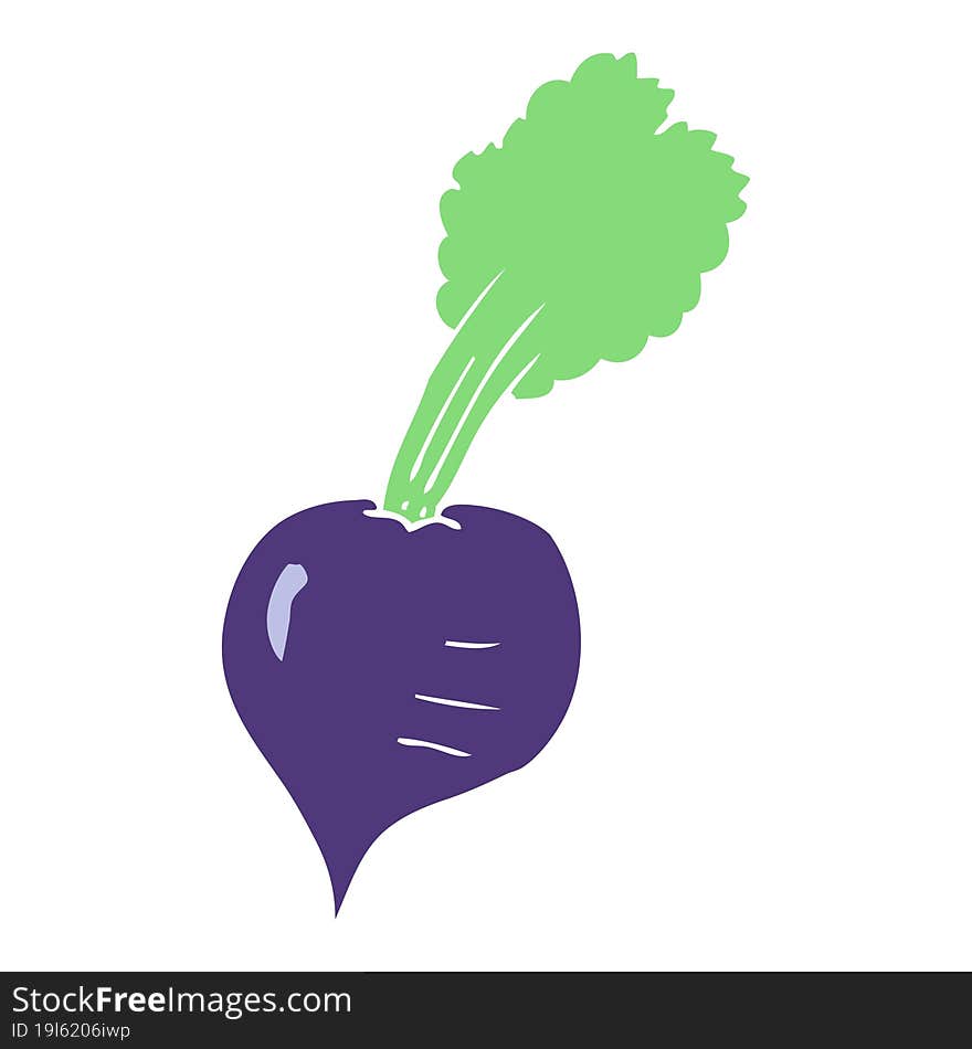 flat color illustration of beetroot. flat color illustration of beetroot