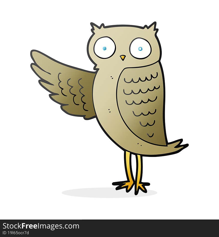 cartoon owl