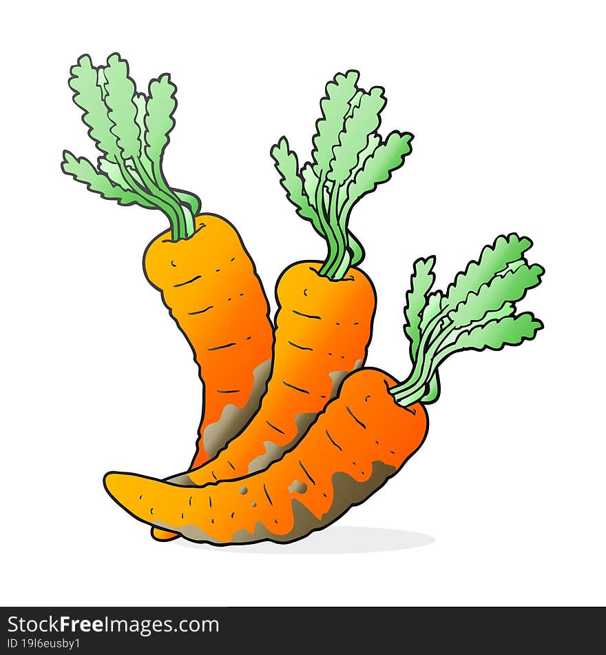 cartoon carrots