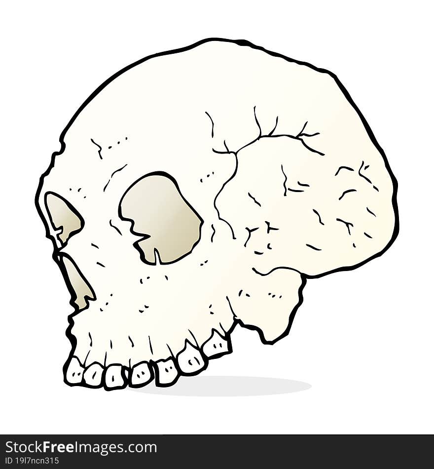 skull illustration