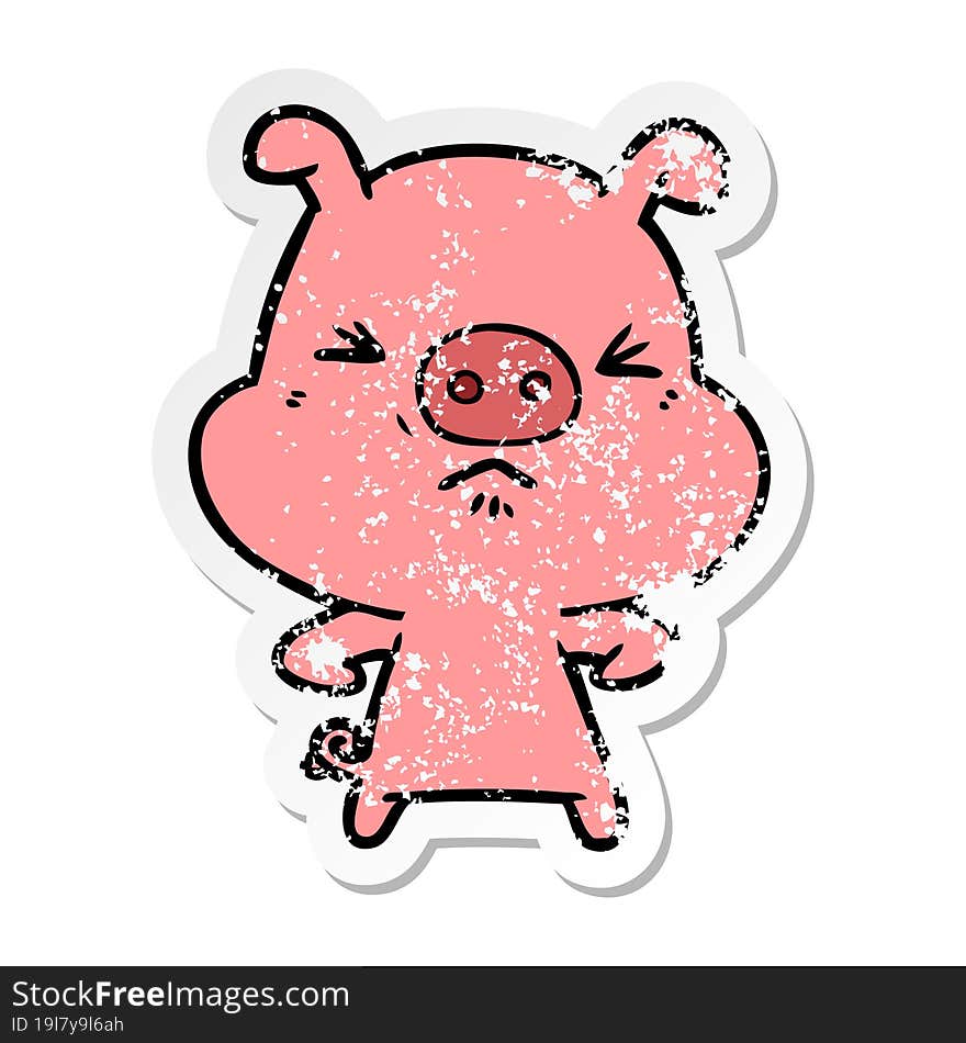 distressed sticker of a cartoon angry pig