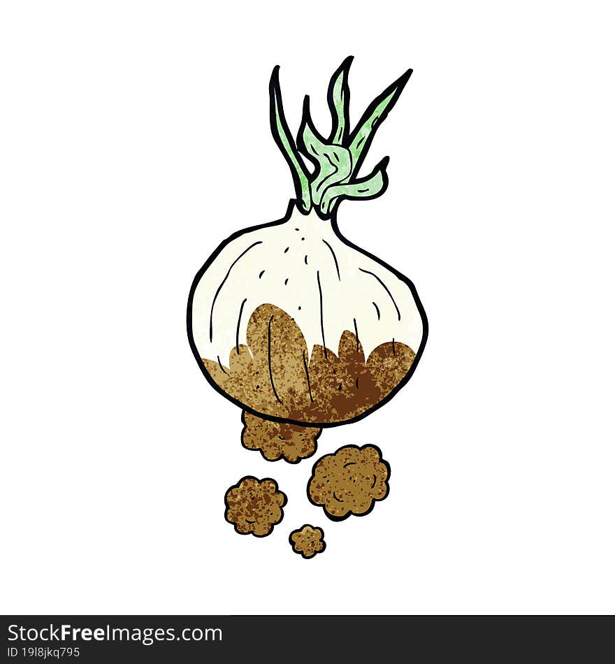 cartoon organic onion