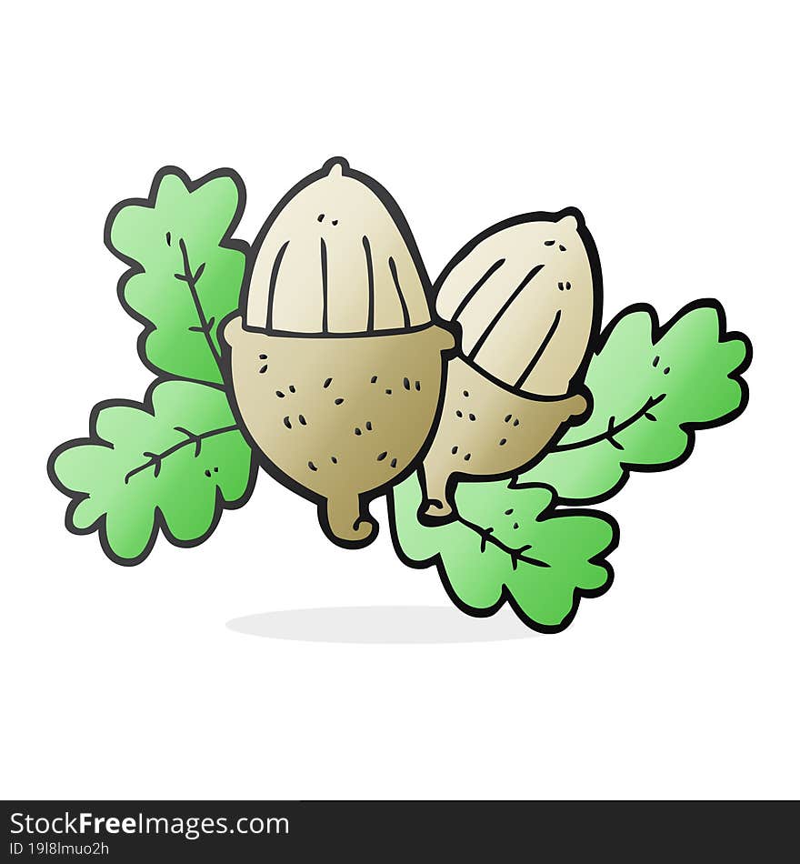 cartoon acorns