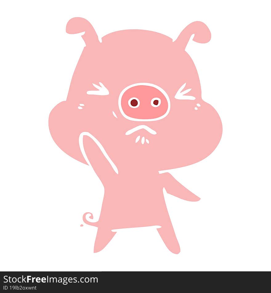 flat color style cartoon angry pig