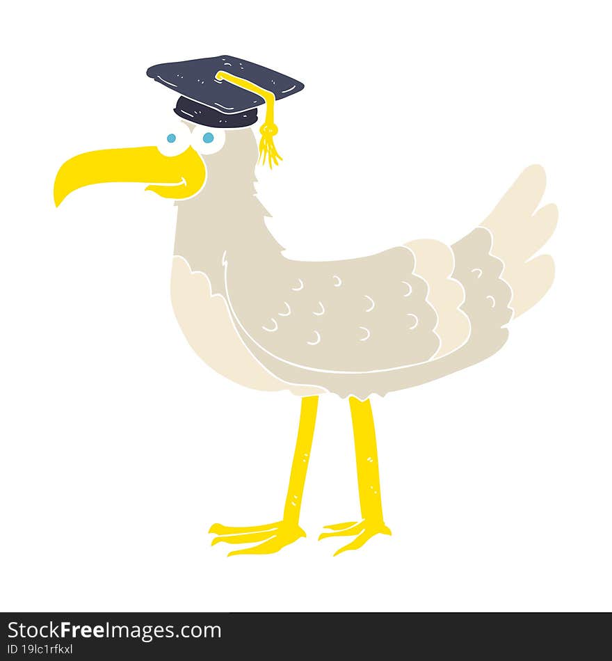 flat color illustration of seagull with graduate cap. flat color illustration of seagull with graduate cap