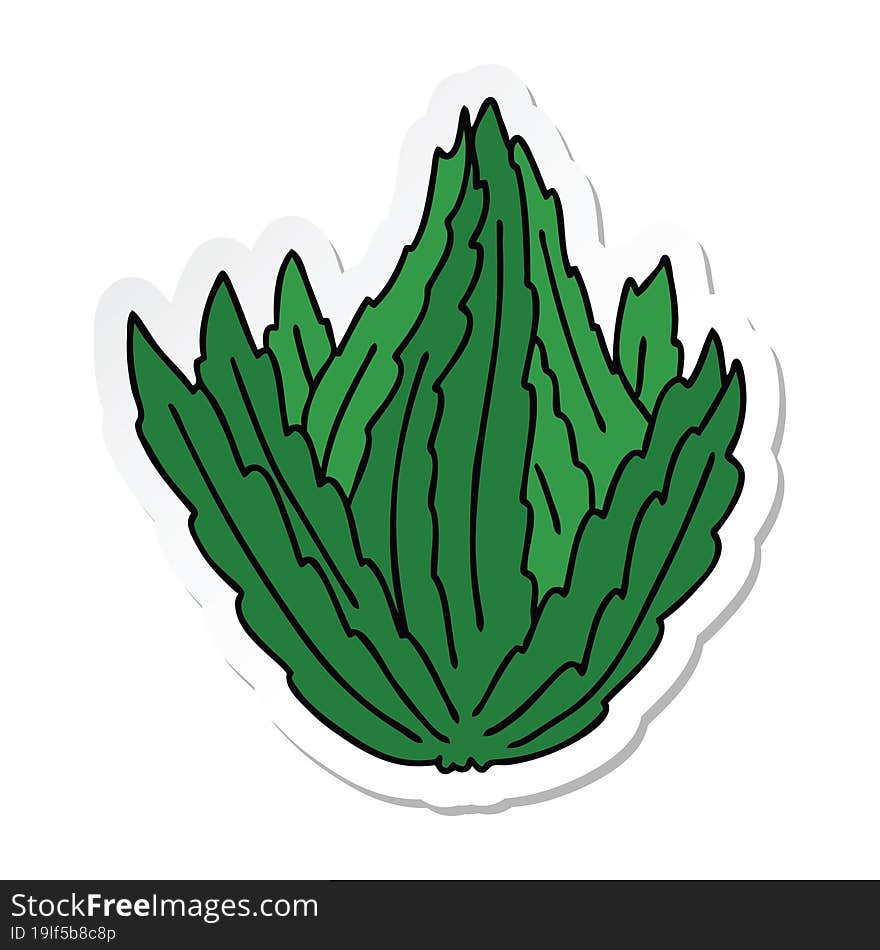 sticker of a quirky hand drawn cartoon lettuce